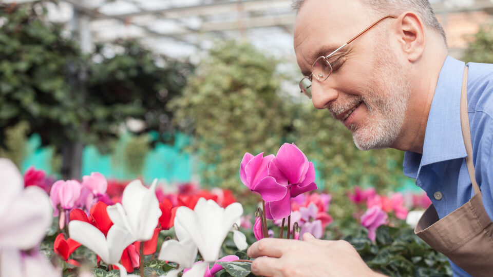 Senior Man Smells Flowers in Greenhouse_Lakeshore Senior Living