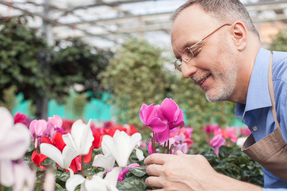 Senior Man Smells Flowers in Greenhouse_Lakeshore Senior Living