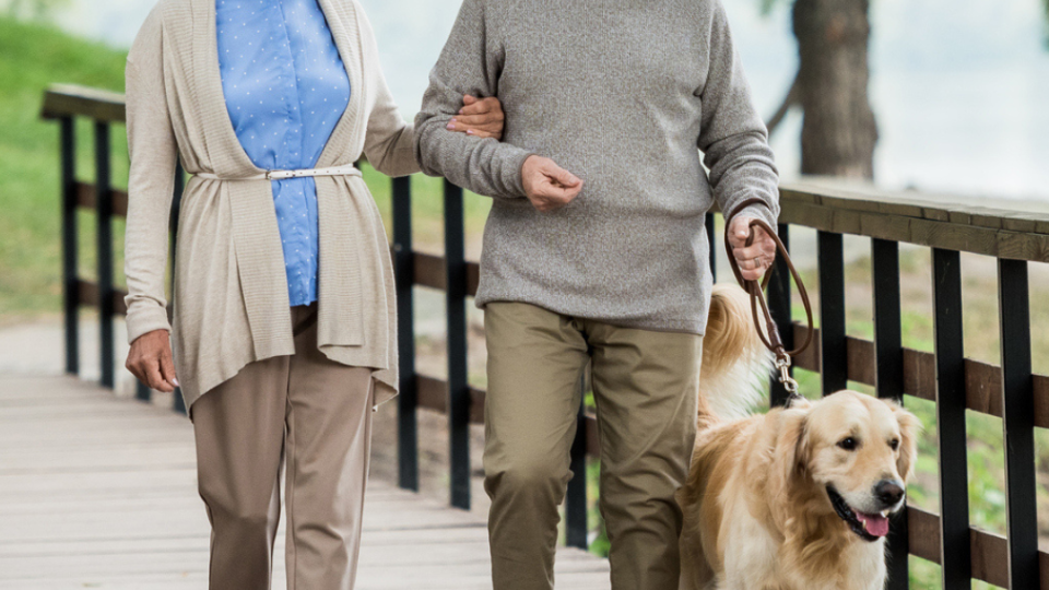 An elderly couple walks their dog along the shoreline in Guntersville, taking advantage of the assisted living amenities available at Lakeshore.